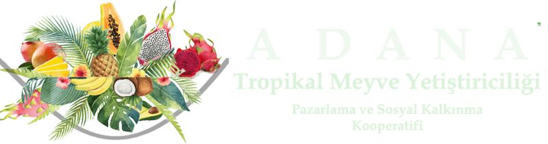 Adana Organik Meyve